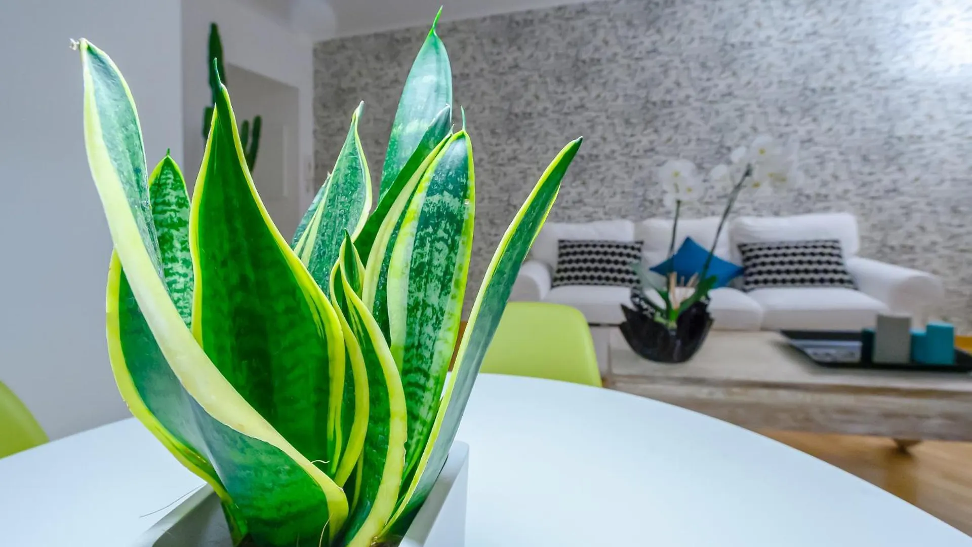 Caracciolo Deluxe Suite - Chiaia Lungomare Naples